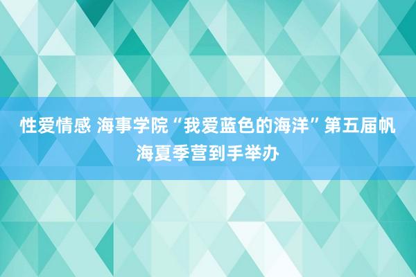 性爱情感 海事学院“我爱蓝色的海洋”第五届帆海夏季营到手举办
