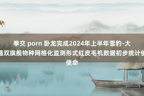 拳交 porn 卧龙完成2024年上半年雪豹-大熊猫双旗舰物种网格化监测形式红皮毛机数据初步统计使命
