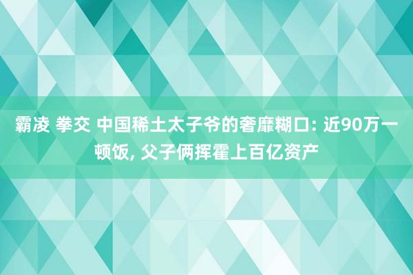 霸凌 拳交 中国稀土太子爷的奢靡糊口: 近90万一顿饭， 父子俩挥霍上百亿资产