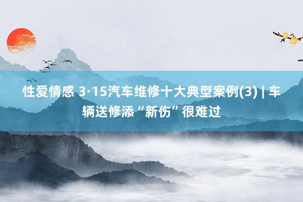 性爱情感 3·15汽车维修十大典型案例(3) | 车辆送修添“新伤”很难过